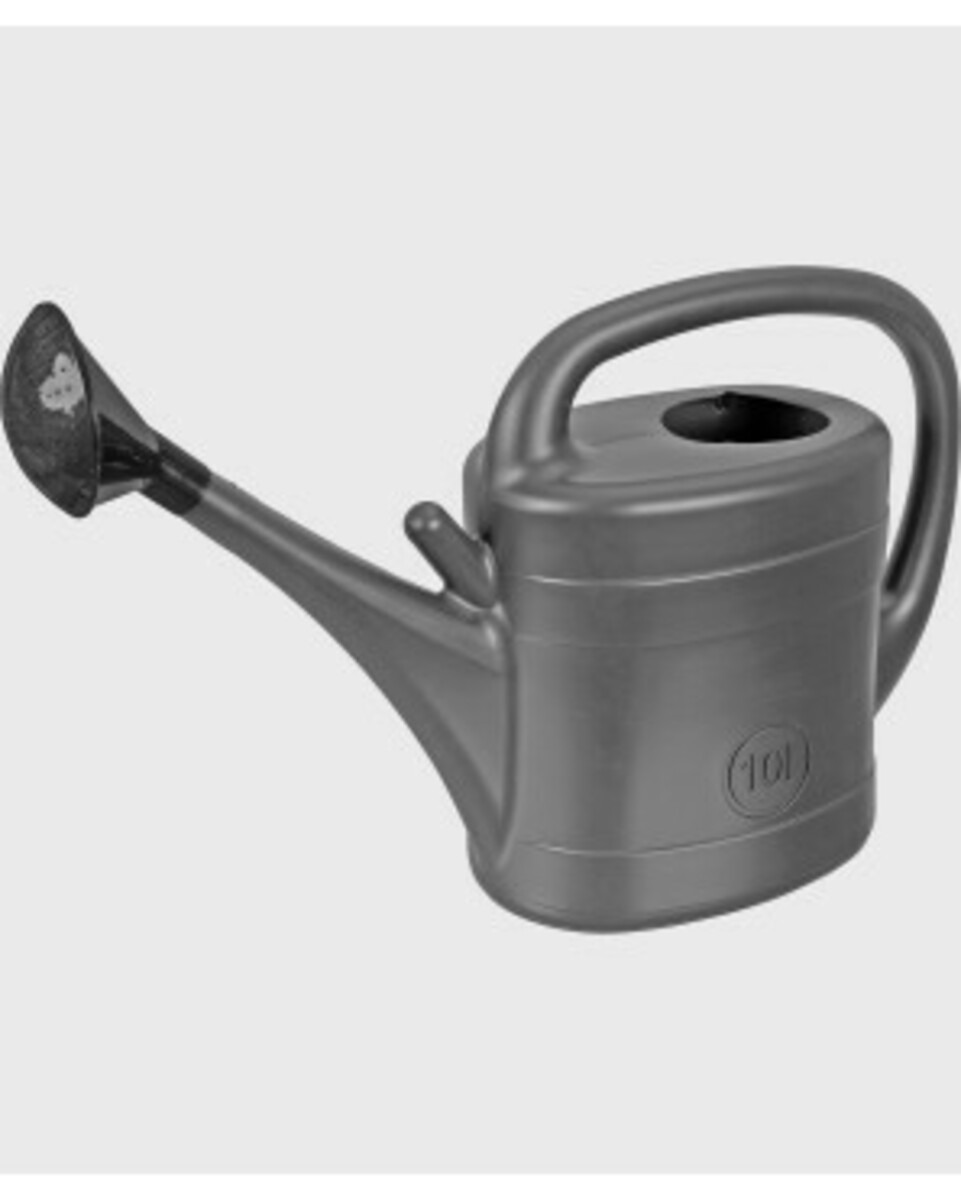 Bild 1 von Gießkanne mit Brauseaufsatz
       
      ca. 10 l
     
      anthrazit