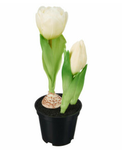 Kunstblume Tulpe
       
      ca. 20 cm
     
      weiß
