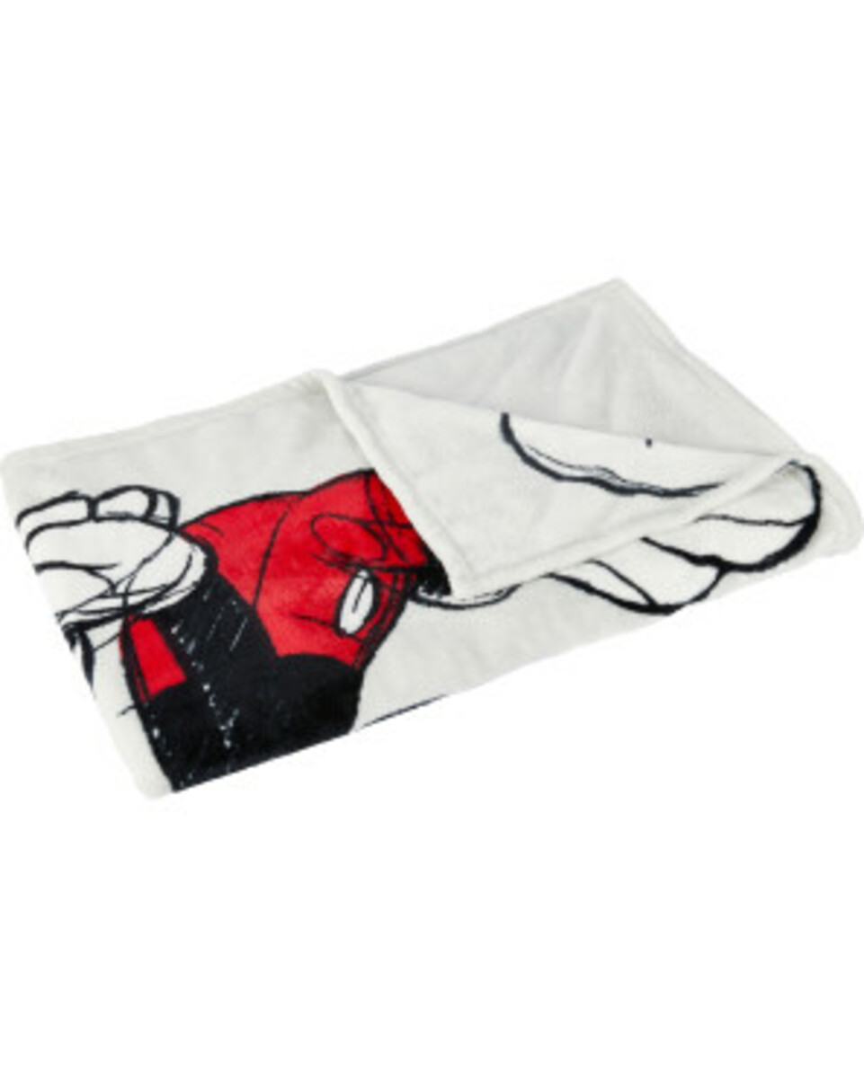 Bild 1 von Mickey und Minnie Mouse Wohndecke
       
      Disney, verschiedene Ausführungen
     
      hellgrau