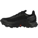 Bild 1 von SALOMON Laufschuhe Alphacross 5 GTX Herren