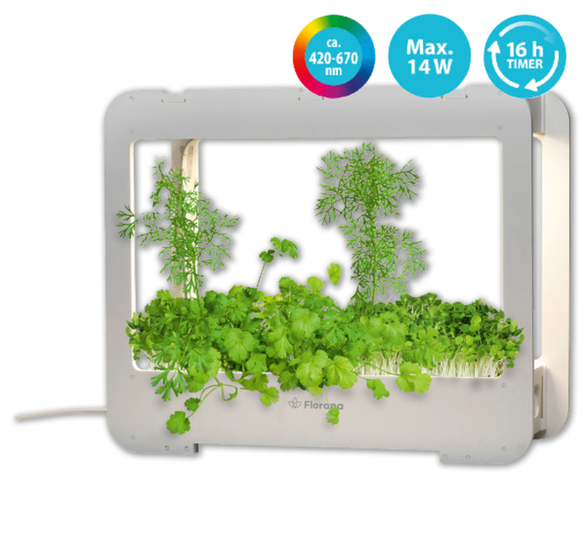 Bild 1 von FLORANA LED-Anzuchtkasten*