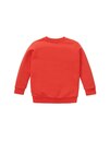 Bild 2 von TOM TAILOR - Mini Boys Sweatshirt mit Print