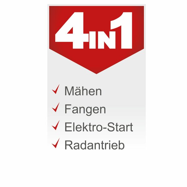 Bild 3 von Scheppach 61 cm Benzin Aufsitzrasenmäher MR224-61