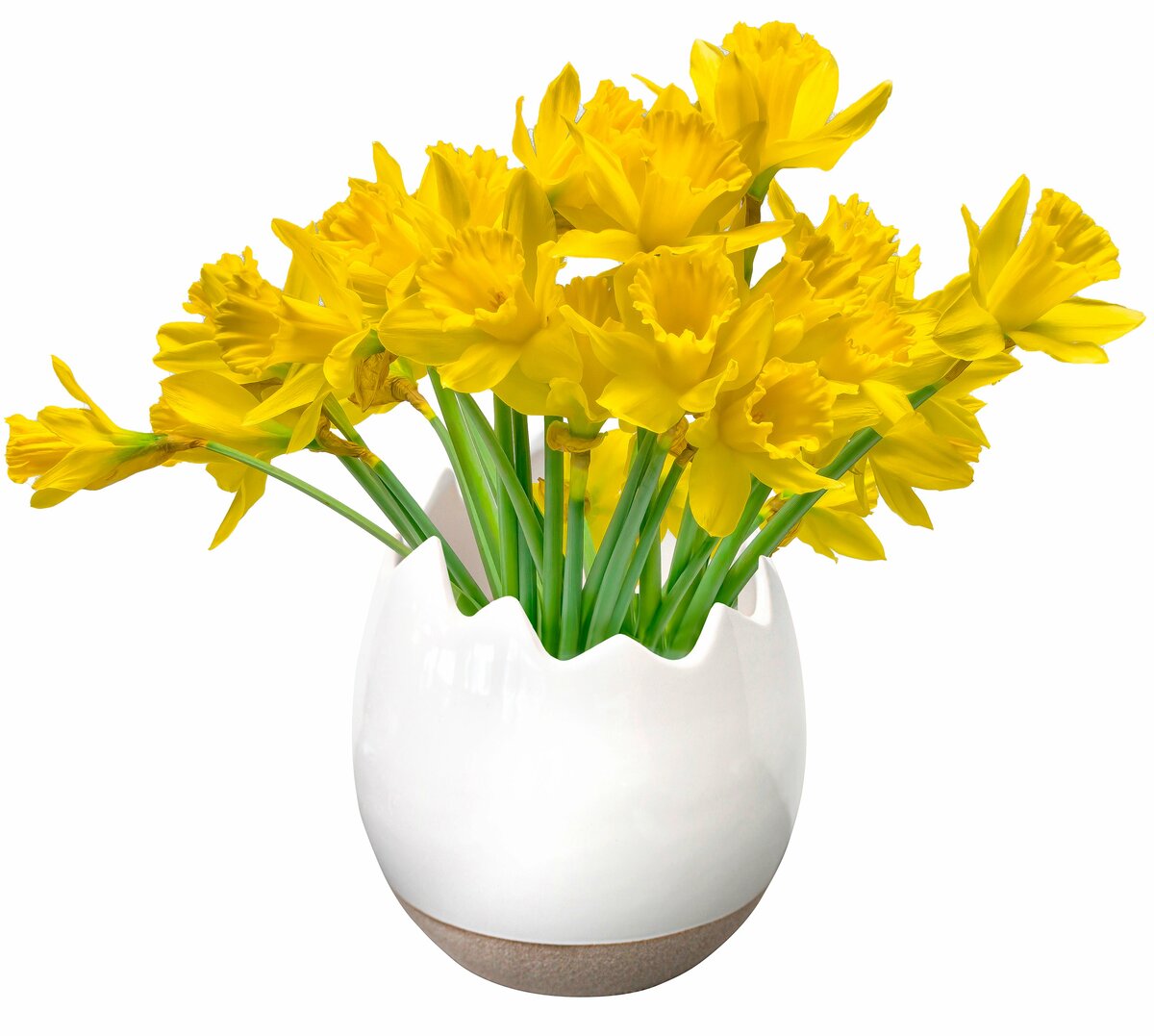 Bild 1 von Keramik-Ei-Vase ø ca. 16 x H 18 cm