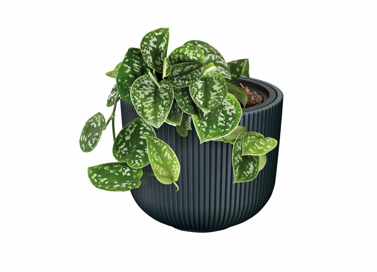 Bild 1 von XXL Blumentopf Milly bauchig Rillendesign mit Einsatz 47cm Anthrazit