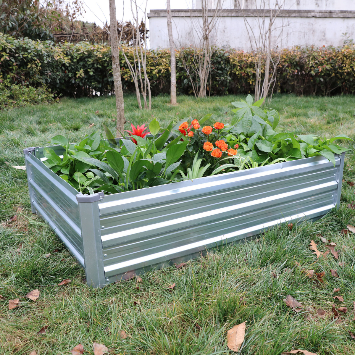 Bild 4 von Green Yard Gartenbeet mit Überdachung, ca. 115 x 80 x 80 cm, Silver