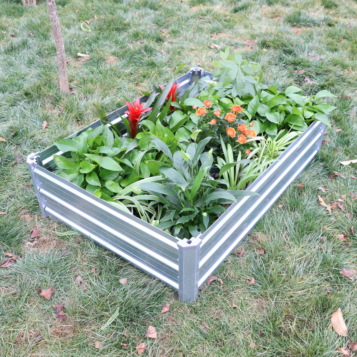 Bild 3 von Green Yard Gartenbeet mit Überdachung, ca. 115 x 80 x 80 cm, Silver