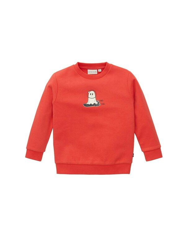 Bild 1 von TOM TAILOR - Mini Boys Sweatshirt mit Print