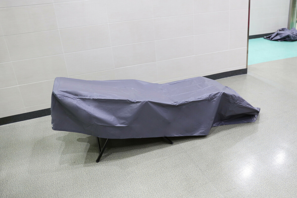 Bild 1 von GreenYard® Sonnenliege Abdeckung & Schutzhülle