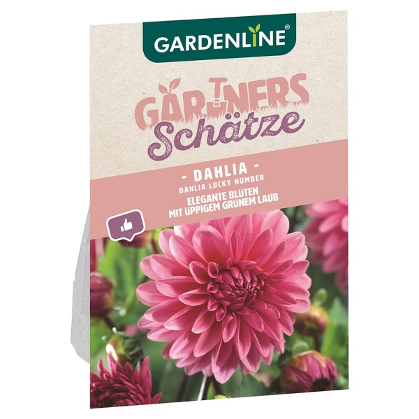 GARDENLINE Blumenzwiebeln von ALDI SÜD ansehen!