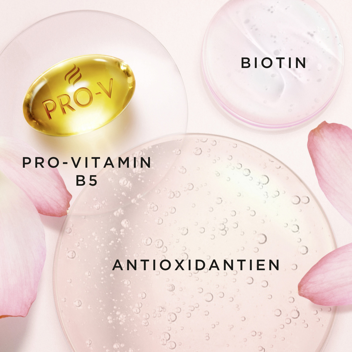 Bild 3 von Pantene Pro-V Miracles schwereloses 7in1 Haaröl Spray