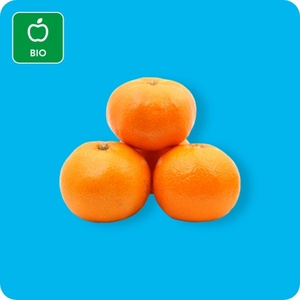 GUT BIO Bio-Mandarinen, Ursprung: Spanien / Italien