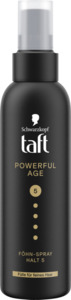 Taft Föhn-Spray Powerful Age