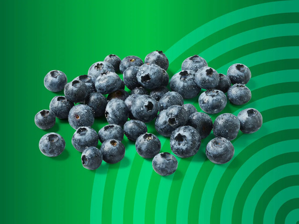 Bild 1 von Bio Heidelbeeren, 
         125 g