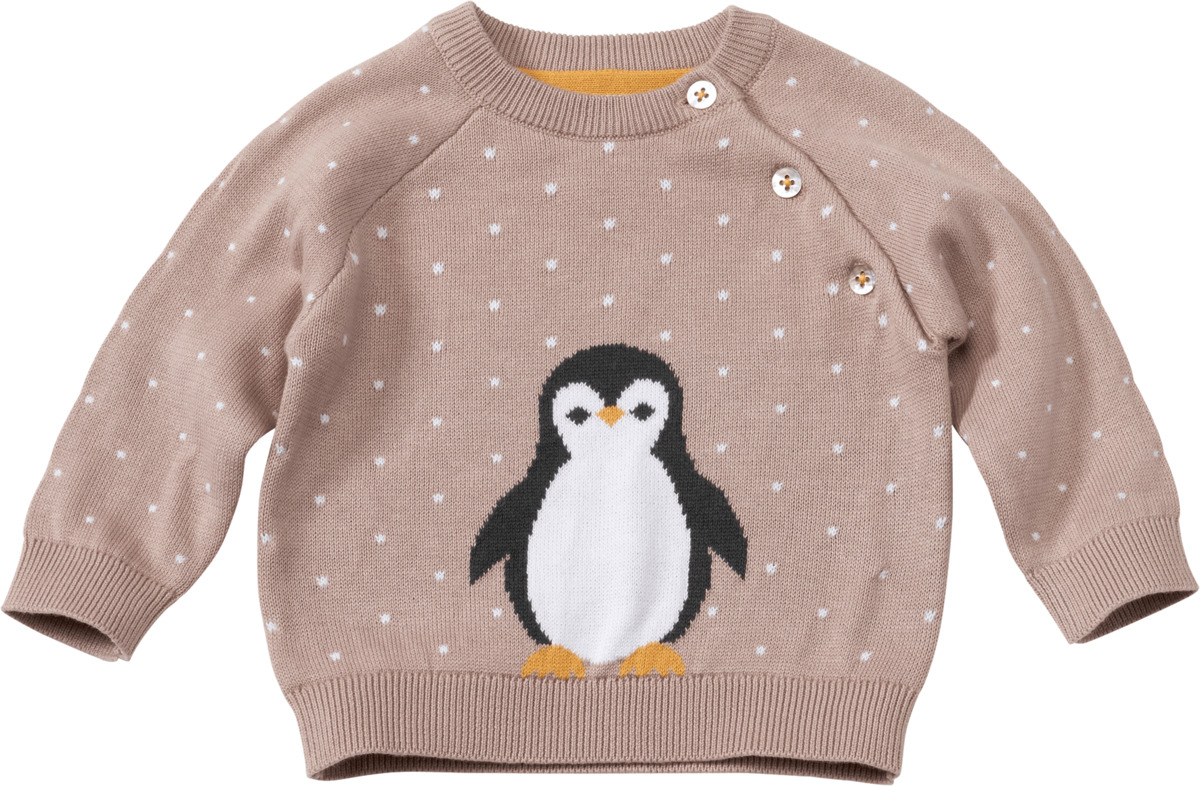 Bild 1 von ALANA Pullover aus Strick mit Pinguin-Motiv, beige, Gr. 62