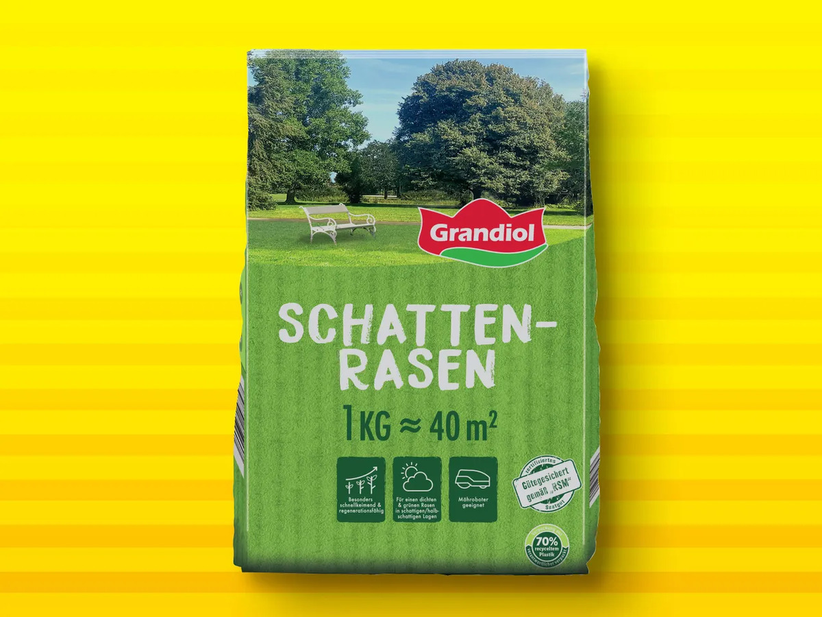 Bild 1 von Grandiol Schattenrasen, 
         1 kg