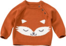 Bild 1 von PUSBLU Pullover mit Fuchs-Motiv, braun, Gr. 80