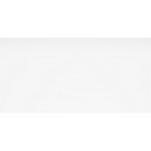 Wandfliese 'Weiß' Steingut uni glänzend 25 x 50 cm