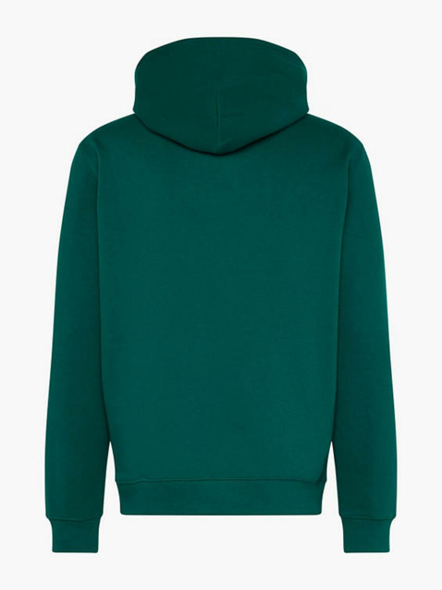 Bild 2 von Champion Hoodie