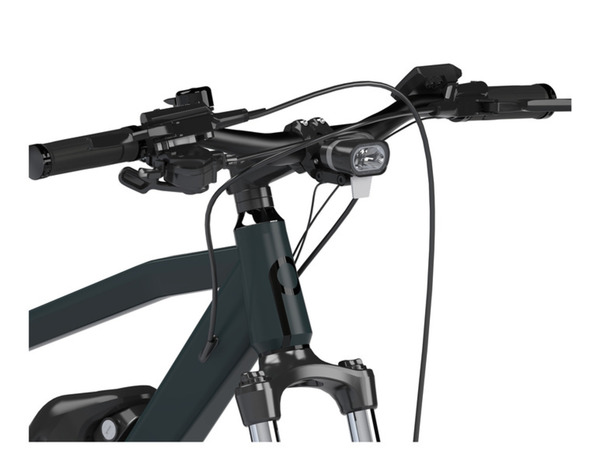 Bild 3 von Prophete E-Bike SUV, 29 Zoll