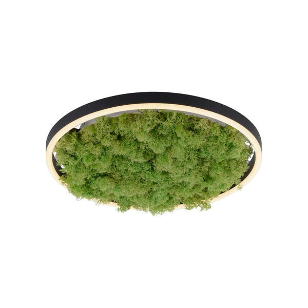 Bild 1 von Led-Deckenleuchte Green Ritus, Natur, Metall, Kunststoff, Naturmaterialien, 39.3x5.3x39.3 cm, Lampen & Leuchten, Innenbeleuchtung, Deckenleuchten