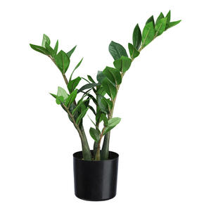 Kunstpflanze, Grün, Kunststoff, 50 cm, inkl. Topf, Dekoration, Kunstblumen