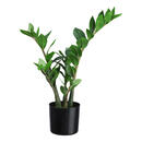 Bild 1 von Kunstpflanze, Grün, Kunststoff, 50 cm, inkl. Topf, Dekoration, Kunstblumen
