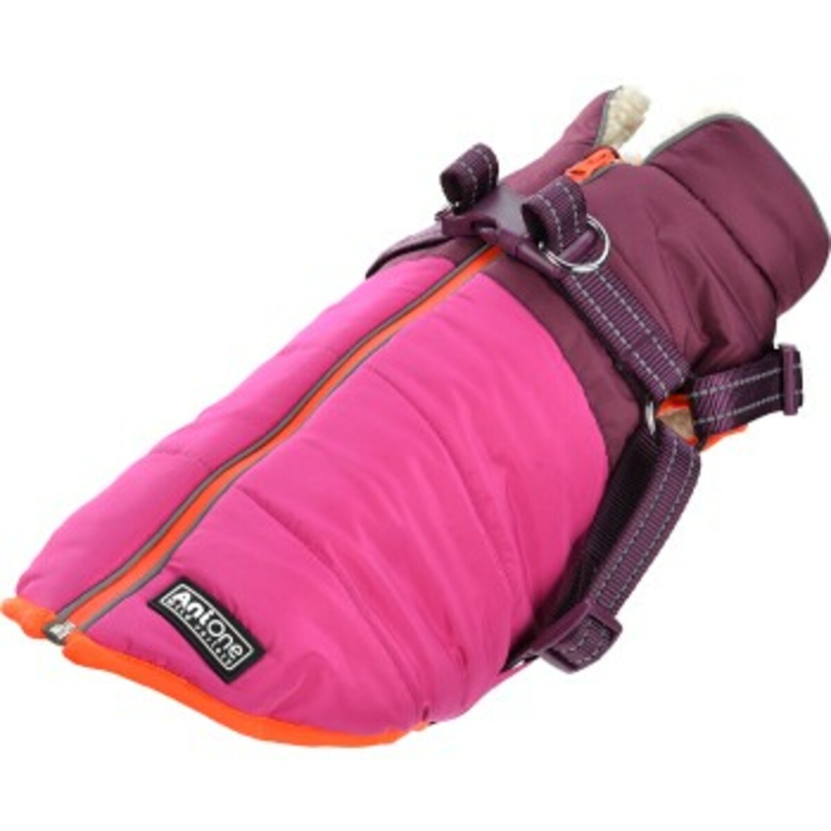 Bild 1 von AniOne Wintermantel mit Geschirr Polly 24 cm