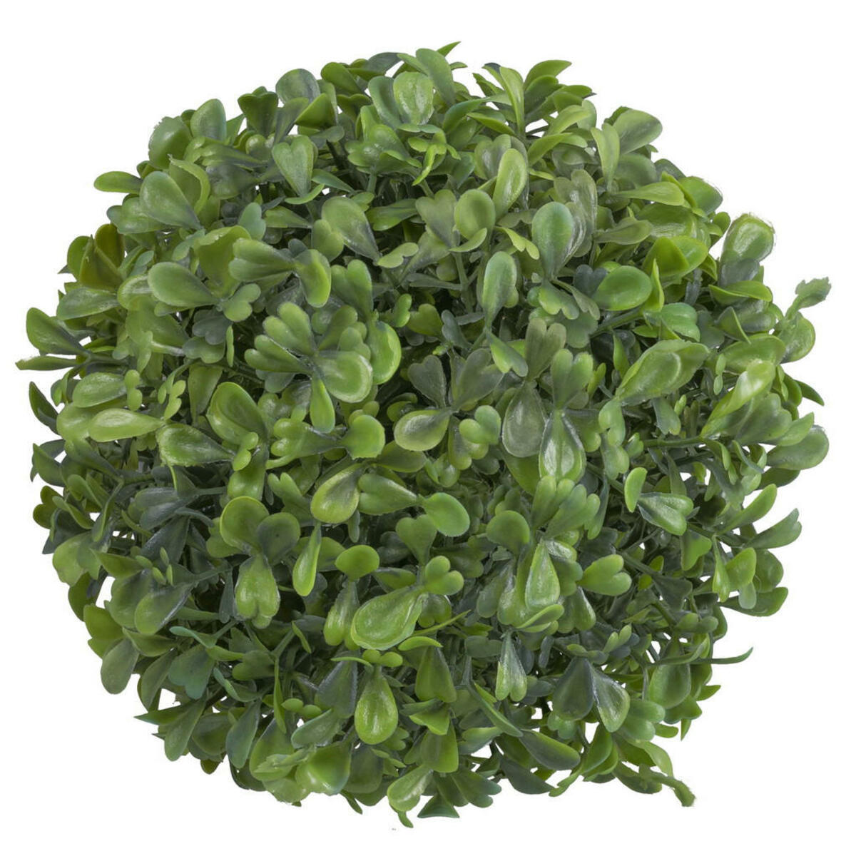 Bild 1 von Buchsbaum, Grün, Kunststoff, Dekoration, Kunstblumen