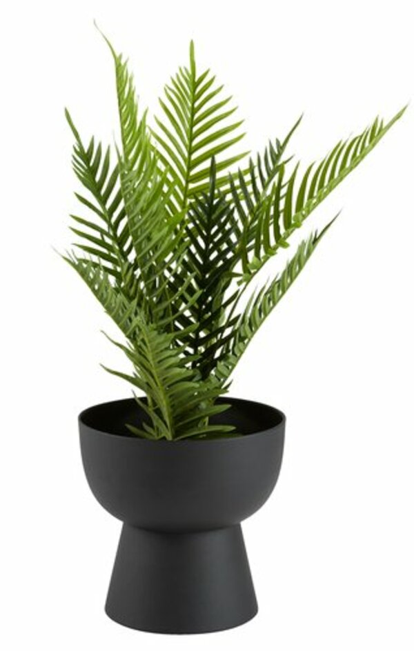 Bild 3 von Pflanzkübel LOMVI Ø30xH30 schwarz