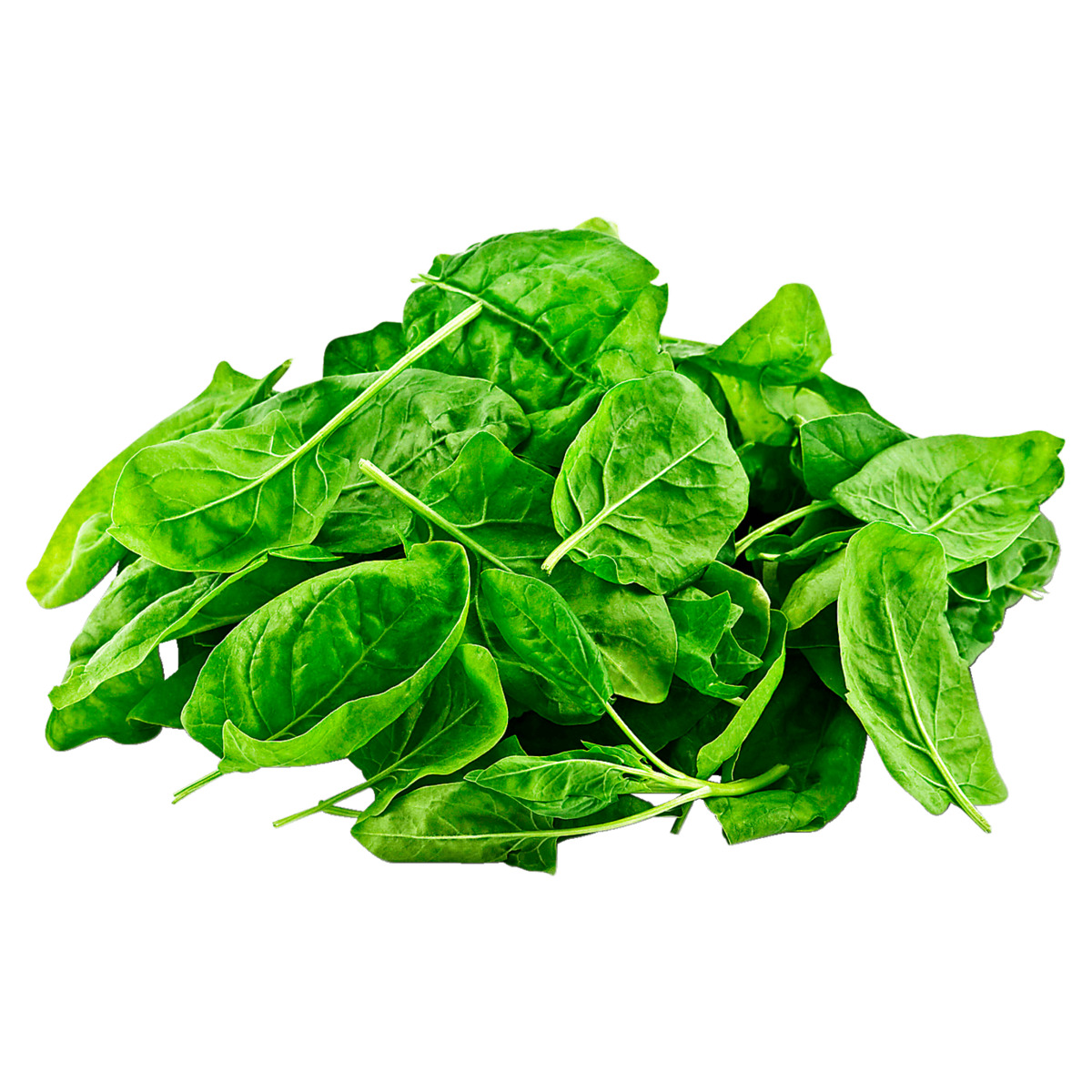 Bild 1 von Bio Blattspinat