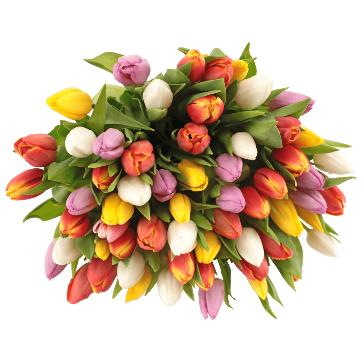 Bild 1 von Tulpenstrauß