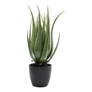 Deko Pflanze Aloe 69cm