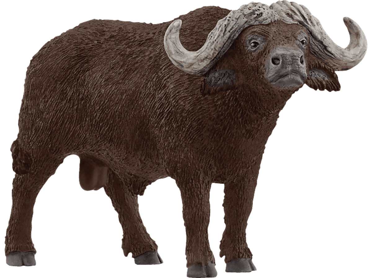 Bild 1 von SCHLEICH 14872 KAFFERNBÜFFEL Spielfigur Mehrfarbig, Mehrfarbig