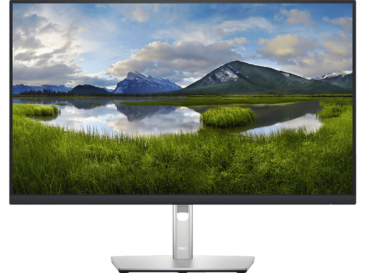 Bild 1 von DELL - B2B CB61372 27 P2722H Zoll Full-HD Business Monitor (5 ms Reaktionszeit, 60 Hz), Schwarz/ Silber