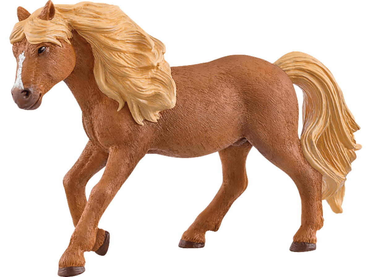 Bild 1 von SCHLEICH Islandpony Hengst Spielfigur Mehrfarbig, Mehrfarbig