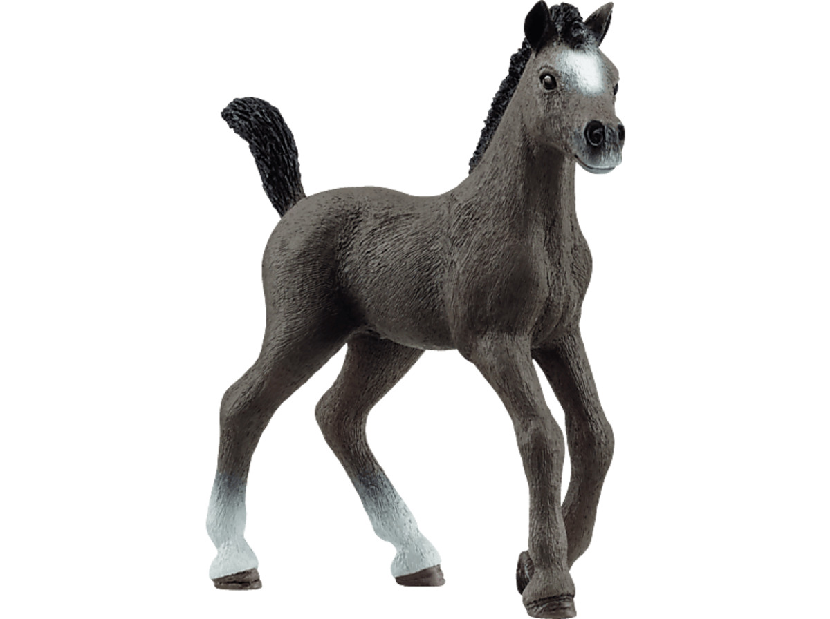 Bild 1 von SCHLEICH 13957 Cheval de Selle Francais Fohlen Spielfigur Grau, Grau