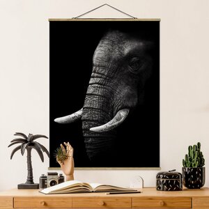 Fotodruck Dark Elephant Portrait