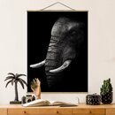 Bild 1 von Fotodruck Dark Elephant Portrait