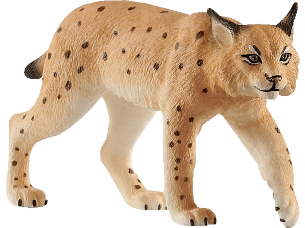Bild 1 von SCHLEICH Luchs Spielfigur Mehrfarbig, Mehrfarbig