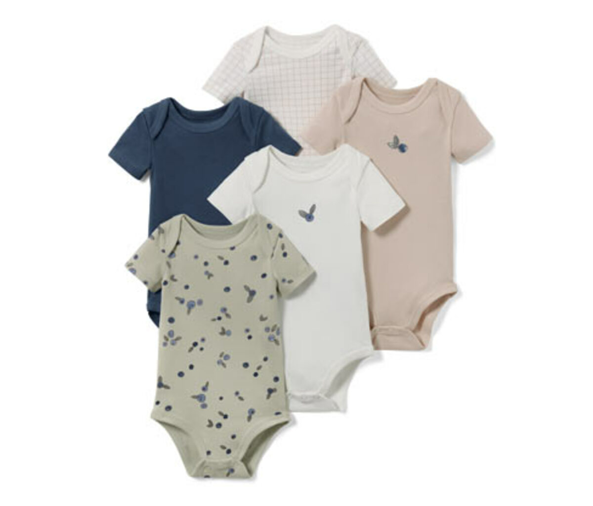 Bild 1 von 5 Baby-Bodys, Beere