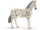 Bild 1 von SCHLEICH KNABSTRUPPER STUTE Spielfigur Mehrfarbig, Mehrfarbig