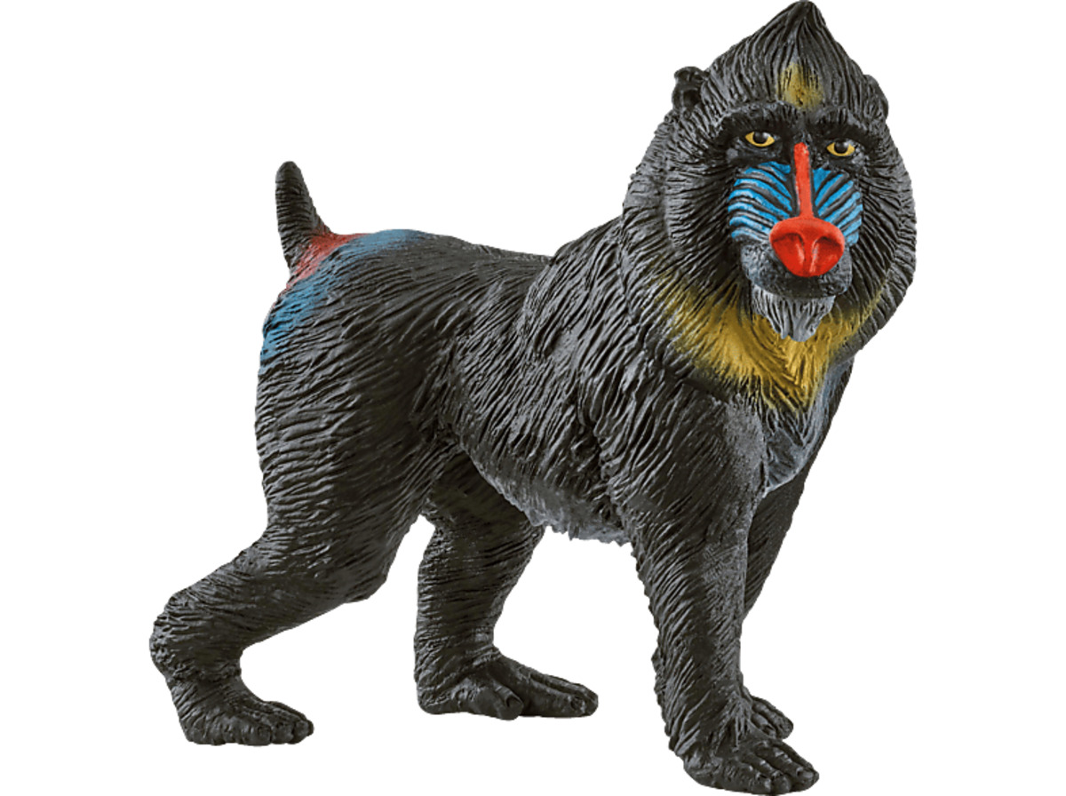 Bild 1 von SCHLEICH Mandrill Spielfigur Mehrfarbig, Mehrfarbig