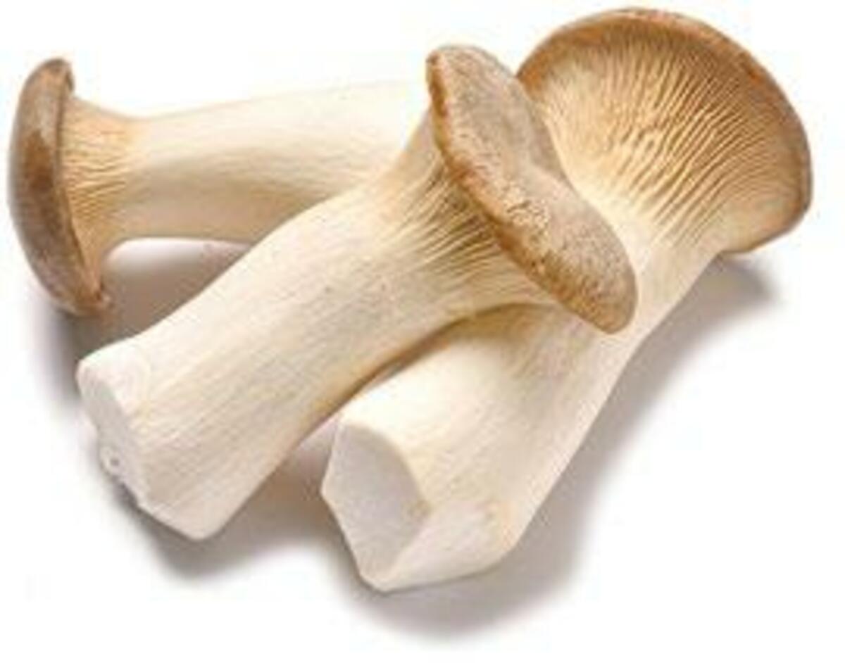 Bild 1 von Kräuterseitlinge 150 g