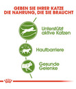 Bild 3 von ROYAL CANIN® Trockenfutter für Katzen Outdoor