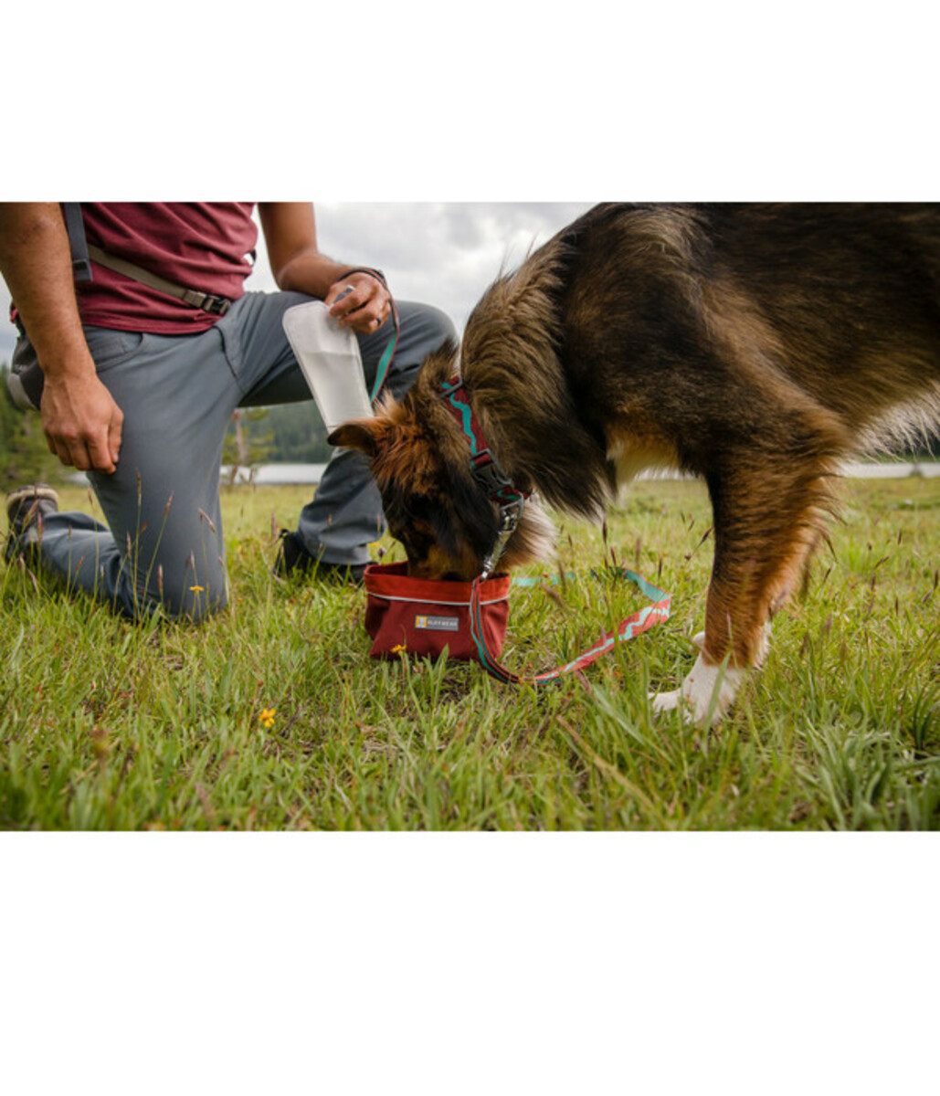 Bild 3 von RUFFWEAR® Hundehalsband Flat Out