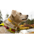 Bild 3 von RUFFWEAR® Hundehalsband Hi & Light™ Collar