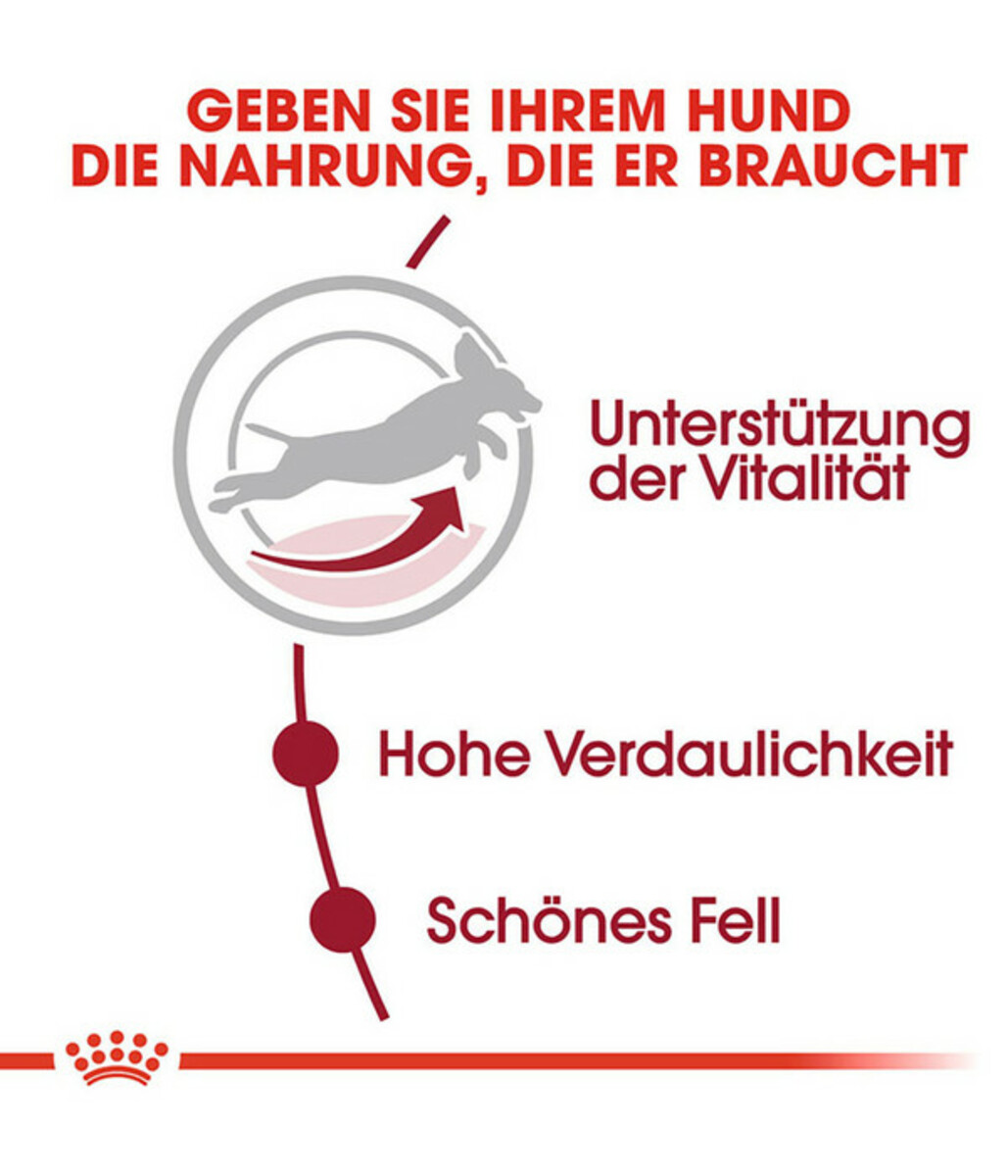 Bild 3 von ROYAL CANIN® Trockenfutter für Hunde Medium Adult 7+