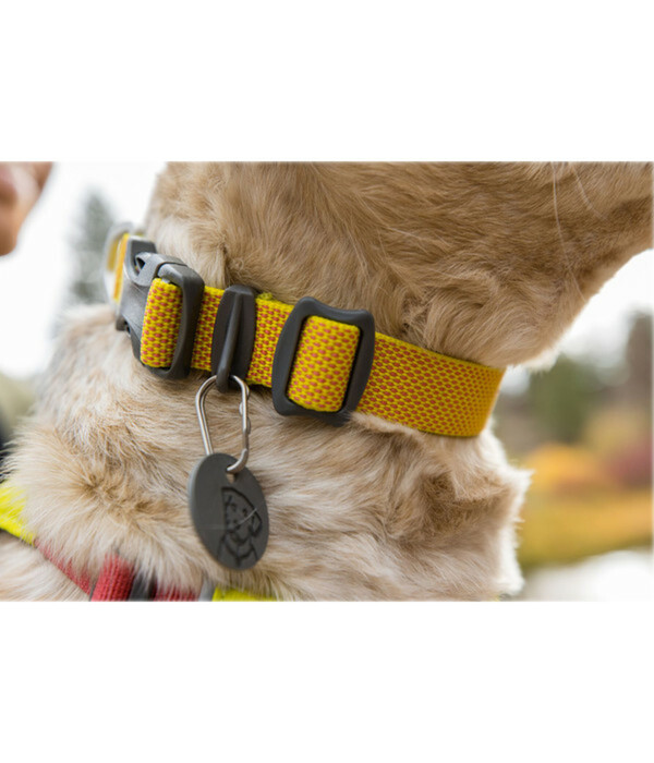 Bild 4 von RUFFWEAR® Hundehalsband Hi & Light™ Collar