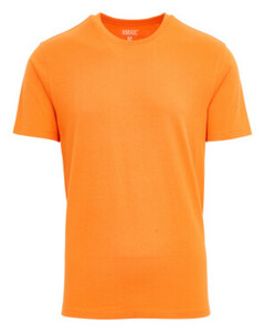 T-Shirt aus Baumwolle
       
      X-Mail, Rundhalsausschnitt
     
      orange